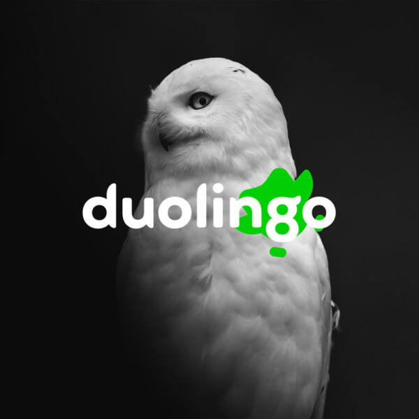 اکانت دولینگو پلاس Duolingo Plus